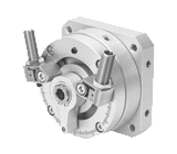 Semi-rotary drives with rotary vane
